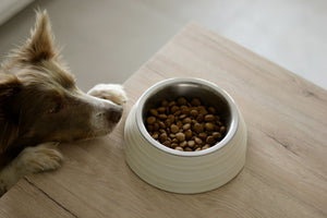 Feeding for a happy, healthy life