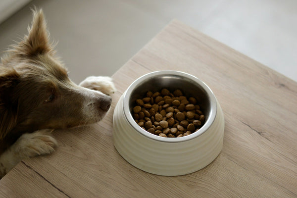 Feeding for a happy, healthy life