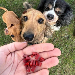 Wowzers Dog Training Treats