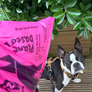 Poo Bag Bundle
