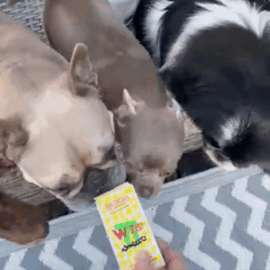 Wowzers Dog Training Treats
